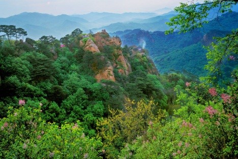 千山景區(qū)供圖